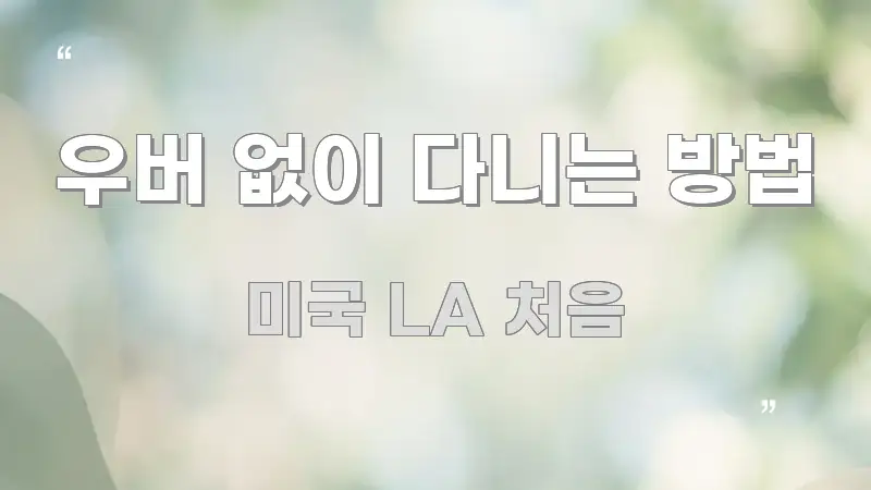 우버 없이 다니는 방법 한눈에 들어오는 핵심 정보 비주얼 - 참고용 이미지