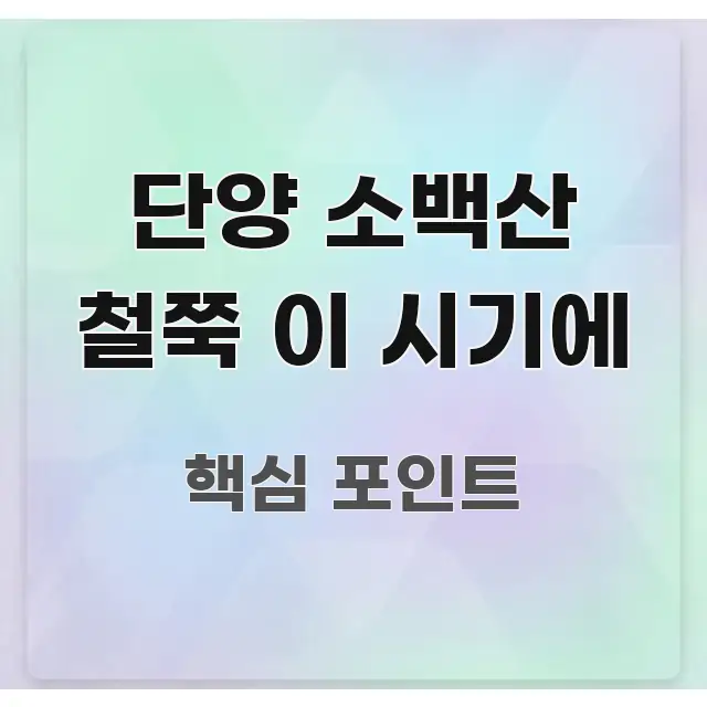 단양 소백산 철쭉 이 시기에 핵심 개념을 담은 정보 요약 포스터 - 내용 요약을 위한 이미지