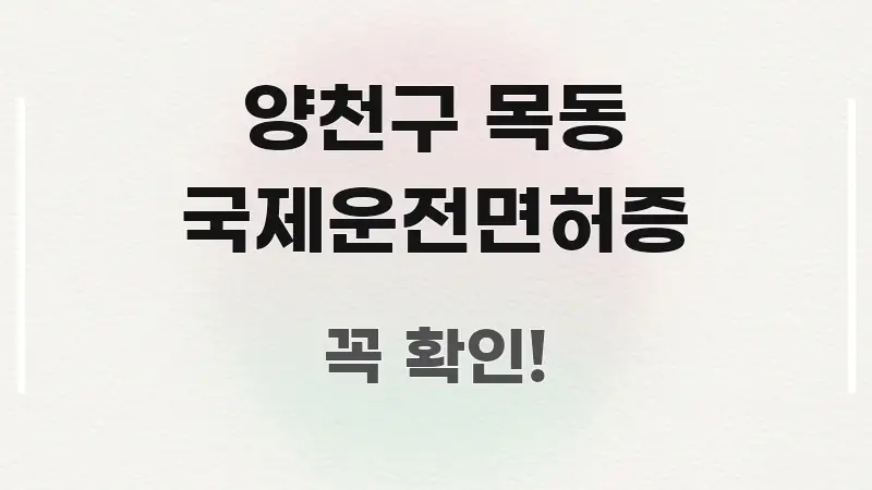 양천구 목동 국제운전면허증 꼭 필요한 정보만 담은 깔끔한 인포그래픽 표지 - 본문 내용과 연관된 이미지