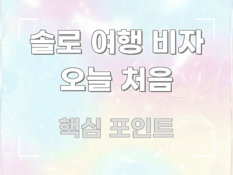 솔로 여행 비자 오늘 처음 독자를 위해 선별한 텍스트 중심 디자인 표지 - 글 흐름을 돕는 시각 자료