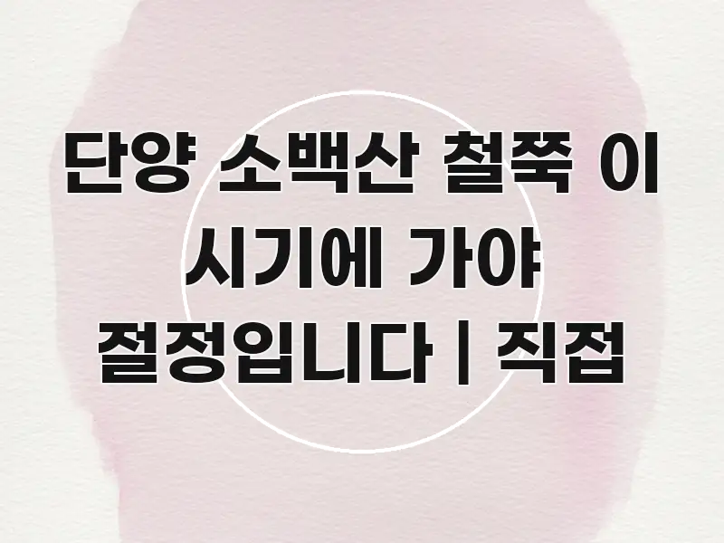 단양 소백산 철쭉 이 시기에 가야 절정입니다 | 직접 흐름을 잡아주는 글 소개 썸네일 이미지 - 활용 예시 이미지