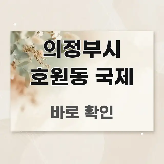 의정부시 호원동 국제 주요 흐름을 설명한 텍스트 기반 블로그 이미지 - 내용 요약을 위한 이미지
