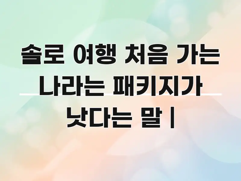 솔로 여행 처음 가는 나라는 패키지가 낫다는 말 | 꼭 필요한 정보만 담은 깔끔한 인포그래픽 표지