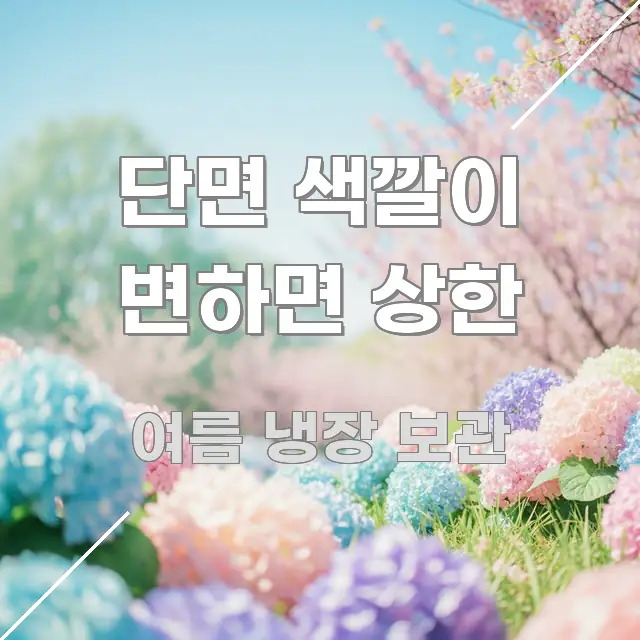 단면 색깔이 변하면 상한 간결하고 명료한 정보 카드 디자인 이미지