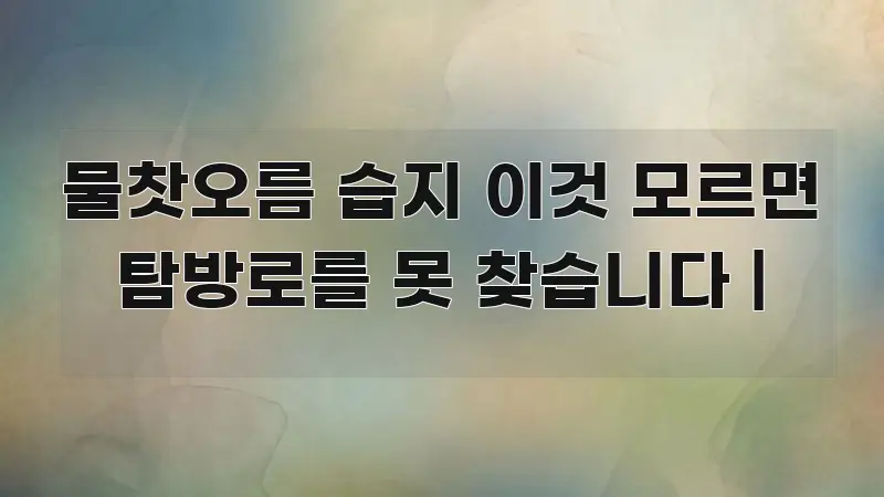 물찻오름 습지 이것 모르면 탐방로를 못 찾습니다 | 쉽게 따라할 수 있는 텍스트 포스터 이미지 - 내용 요약을 위한 이미지