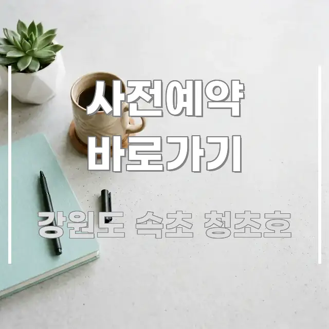 사전예약 바로가기 흐름을 잡아주는 블로그 섹션 구분 이미지