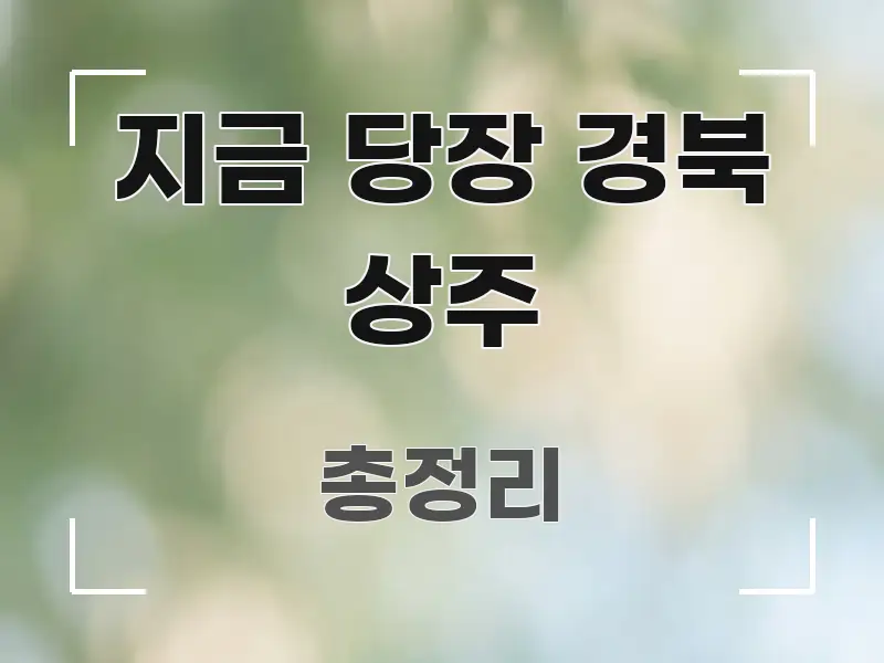지금 당장 경북 상주 쉽게 읽히는 블로그용 카드뉴스 썸네일 - 독자 이해를 위한 이미지