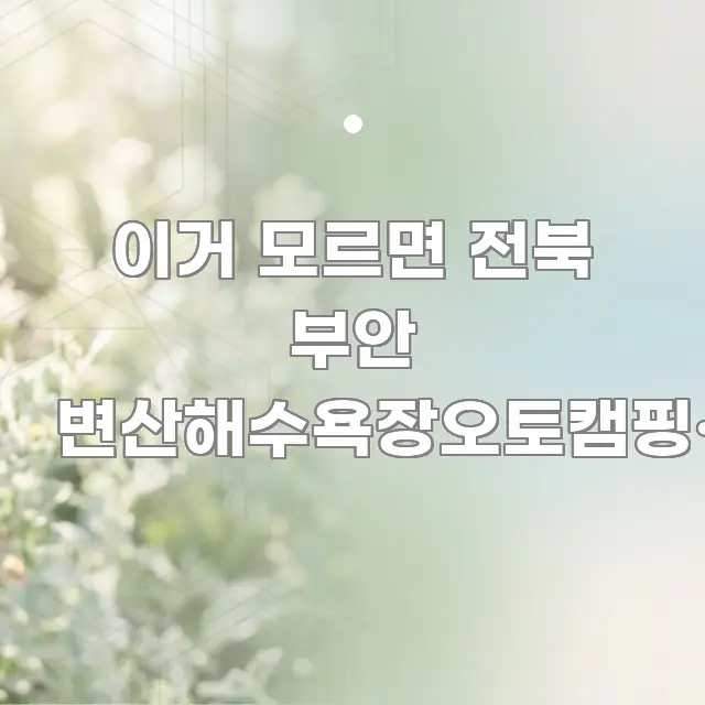 이거 모르면 전북 부안 변산해수욕장오토캠핑장 예약하고 전문적으로 분석한 깔끔한 인포그래픽 표지 - 글 흐름을 돕는 시각 자료