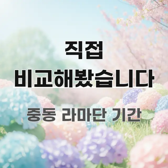 직접 비교해봤습니다 검증된 정보로 구성된 정보 카드 디자인 이미지 - 본문 내용과 연관된 이미지