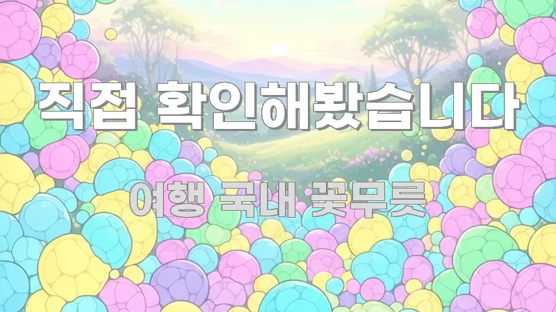 직접 확인해봤습니다 실생활에 도움되는 핵심 정보 비주얼