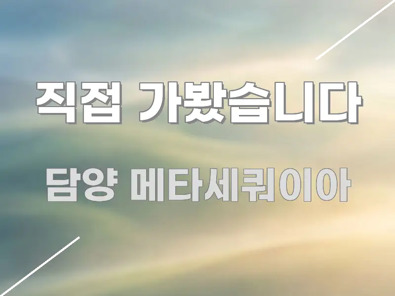 직접 가봤습니다 쉽게 읽히는 콘텐츠 요약 표지 이미지