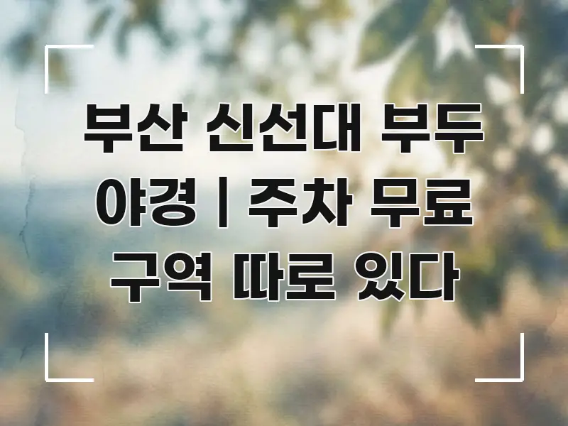 부산 신선대 부두 야경 | 주차 무료 구역 따로 있다 꼭 알아야 할 정보를 담은 핵심 정보 비주얼 - 독자 이해를 위한 이미지