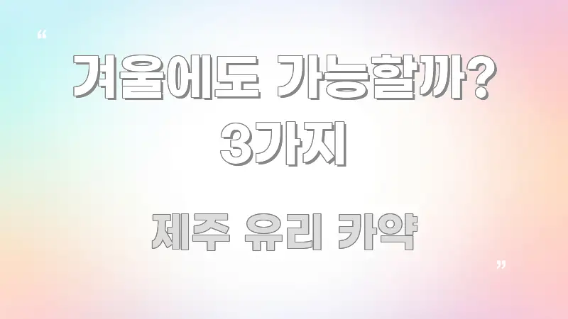겨울에도 가능할까? 3가지 꼭 알아야 할 정보를 담은 핵심 정보 비주얼
