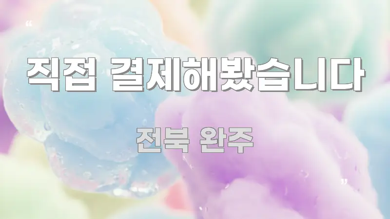 직접 결제해봤습니다 꼼꼼하게 정리된 핵심 정보 비주얼 - 참고용 이미지