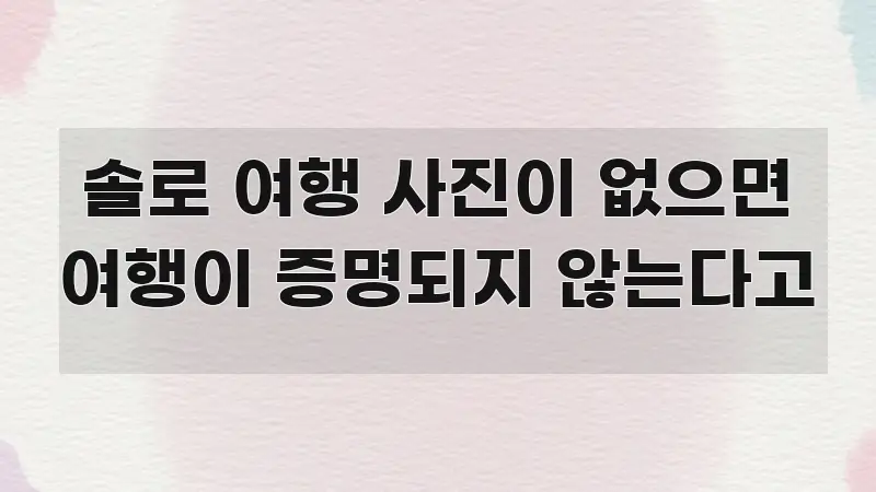 솔로 여행 사진이 없으면 여행이 증명되지 않는다고 효율적으로 구성된 정보 요약 포스터 - 참고용 이미지