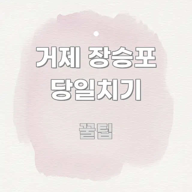 거제 장승포 당일치기 가독성 높게 정리한 핵심 정리 썸네일 이미지 - 설명을 돕는 이미지