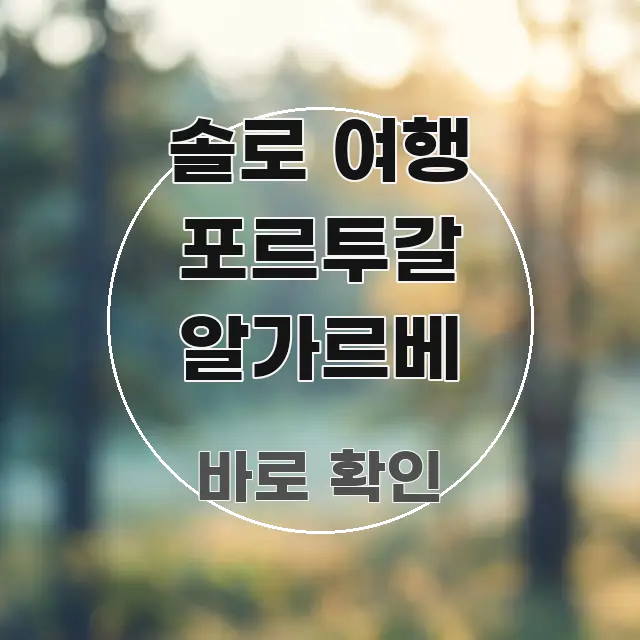 솔로 여행 포르투갈 알가르베 전문가가 선별한 블로그 포스트 커버 이미지 - 설명을 돕는 이미지