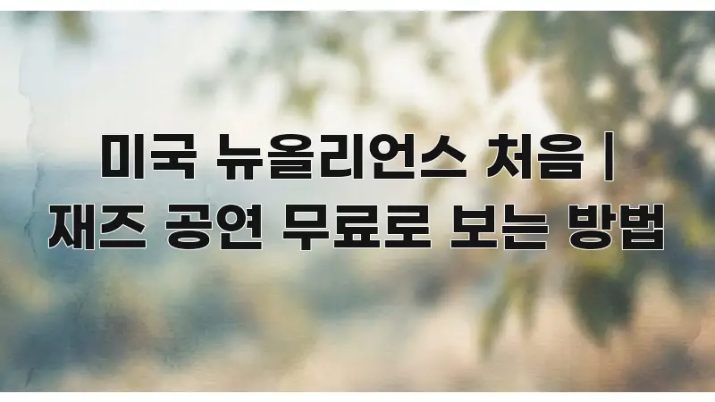 미국 뉴올리언스 처음 | 재즈 공연 무료로 보는 방법 흥미롭게 구성한 블로그 섹션 구분 이미지 - 활용 예시 이미지