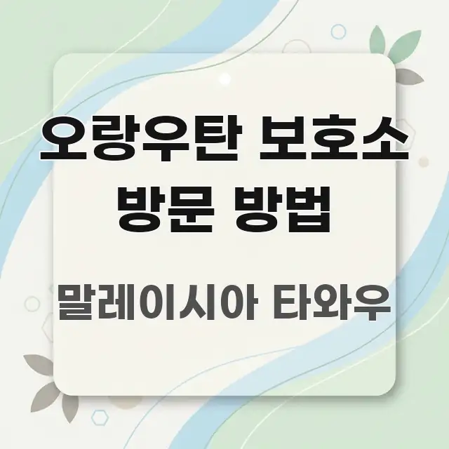 오랑우탄 보호소 방문 방법 핵심 정보를 압축한 블로그용 카드뉴스 썸네일 - 활용 예시 이미지