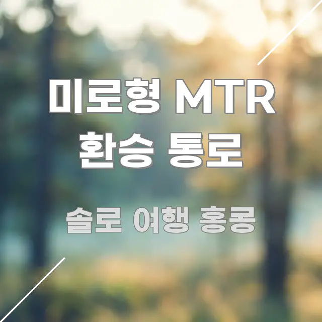 미로형 MTR 환승 통로 한눈에 들어오는 읽기 좋은 정보 카드 - 독자 이해를 위한 이미지