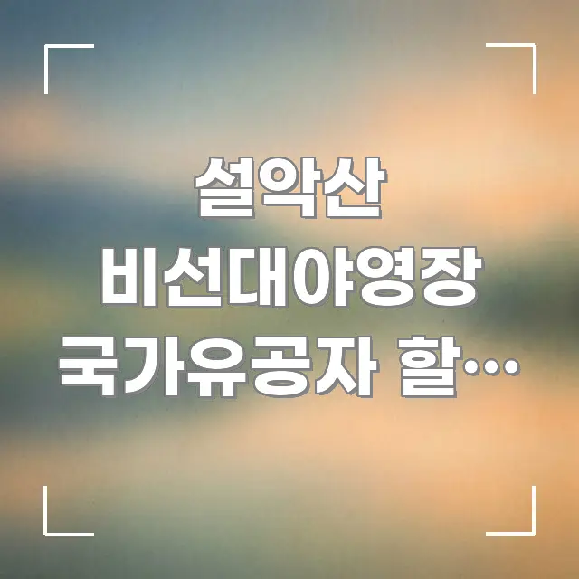 설악산 비선대야영장 국가유공자 할인 | 강원 설악산 핵심 내용을 정리한 정보 요약 포스터