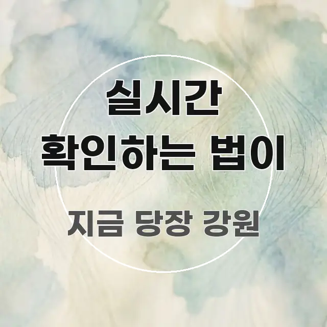 실시간 확인하는 법이 핵심 키워드 중심의 정보 요약 포스터 - 독자 이해를 위한 이미지