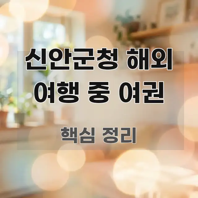 신안군청 해외 여행 중 여권 주요 흐름을 설명한 정보 요약 인포그래픽 이미지 - 가독성을 높이는 이미지