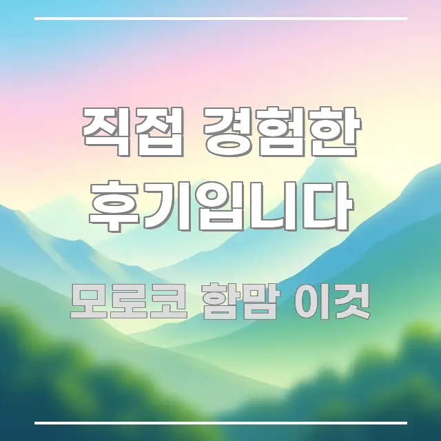 직접 경험한 후기입니다 한 번에 이해되는 블로그 대표 이미지