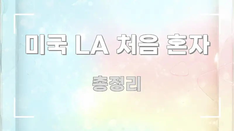 미국 LA 처음 혼자 심플하고 명확하게 정리한 블로그용 카드뉴스 썸네일 - 가독성을 높이는 이미지