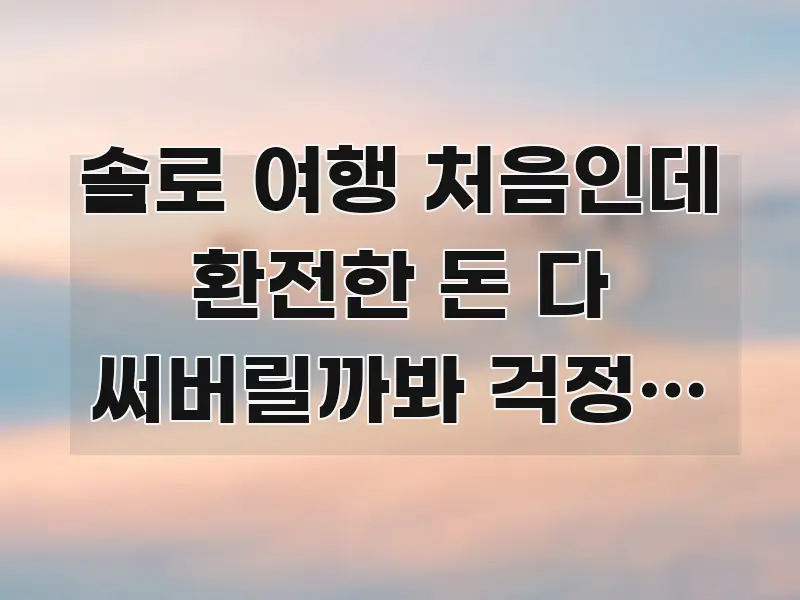 솔로 여행 처음인데 환전한 돈 다 써버릴까봐 걱정인 분 핵심 정보를 압축한 모던 카드뉴스 디자인