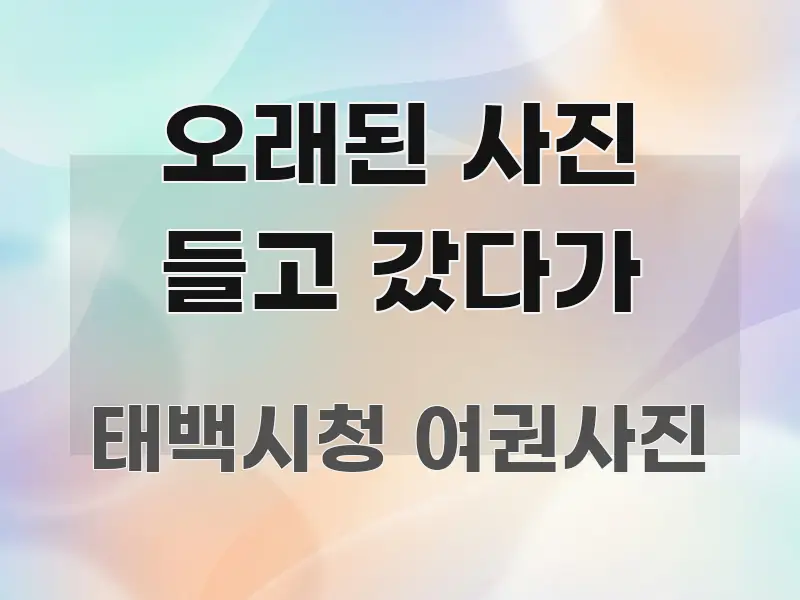 오래된 사진 들고 갔다가 독자를 위해 선별한 텍스트 기반 블로그 이미지