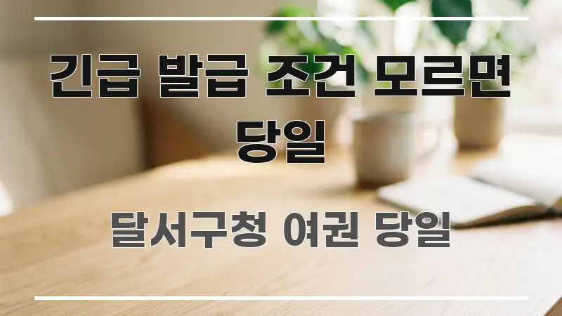 긴급 발급 조건 모르면 당일 주요 포인트를 요약한 모던 카드뉴스 디자인