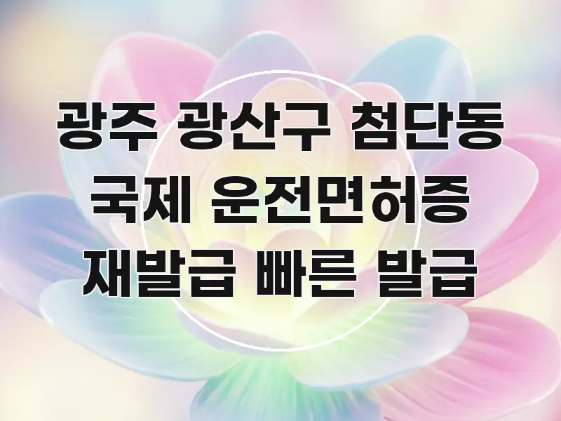 광주 광산구 첨단동 국제 운전면허증 재발급 빠른 발급 전문가가 선별한 블로그 섹션 구분 이미지 - 활용 예시 이미지