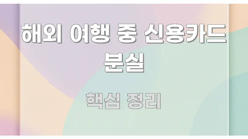 해외 여행 중 신용카드 분실 정보 이미지 해외 여행 중 신용카드 분실 가독성 높게 정리한 정보 정리 카드 이미지
