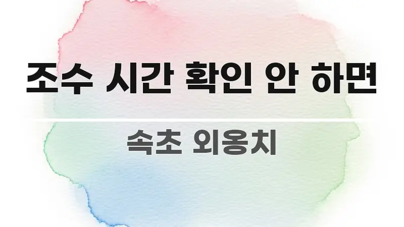 조수 시간 확인 안 하면 꼭 알아야 할 정보를 담은 텍스트 포스터 이미지