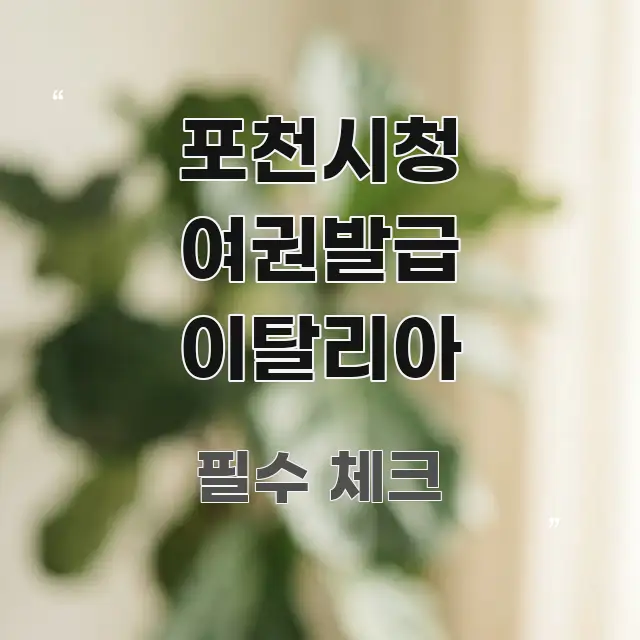포천시청 여권발급 이탈리아 한눈에 보기 좋게 요약한 모던 카드뉴스 디자인 - 본문 내용과 연관된 이미지