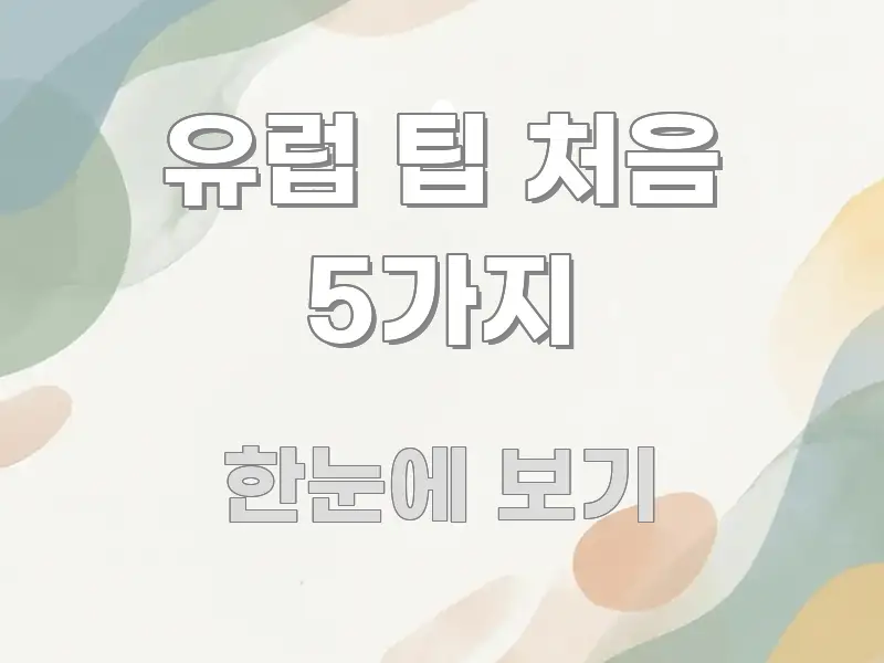 유럽 팁 처음 5가지 전문적으로 분석한 글 소개 썸네일 이미지 - 독자 이해를 위한 이미지