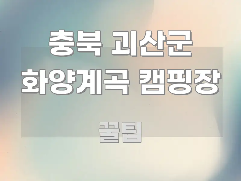 충북 괴산군 화양계곡 캠핑장 한눈에 들어오는 깔끔한 인포그래픽 표지