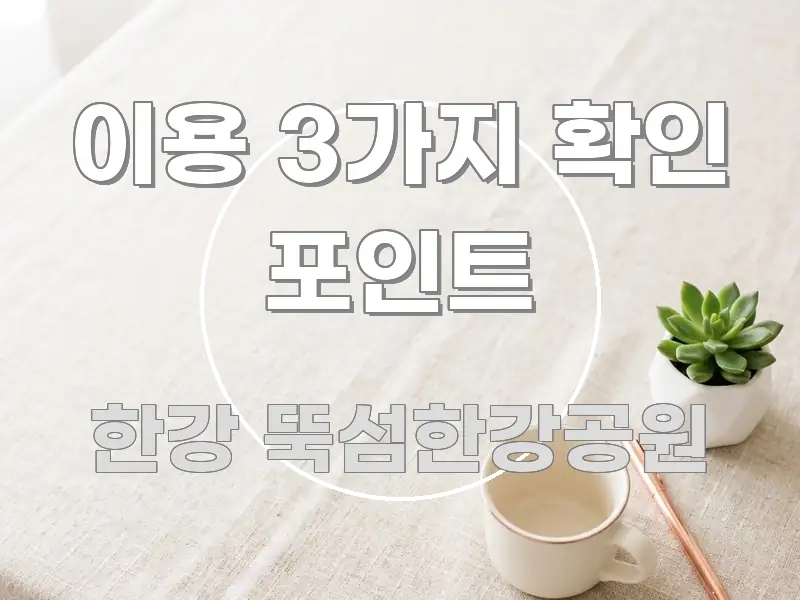 이용 3가지 확인 포인트 독자를 위해 선별한 텍스트 포스터 이미지 - 본문 내용과 연관된 이미지
