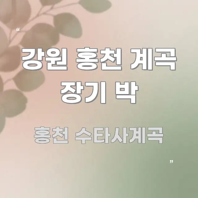 강원 홍천 계곡 장기 박 명확하게 정리된 가독성 높은 정보 이미지 - 글 흐름을 돕는 시각 자료