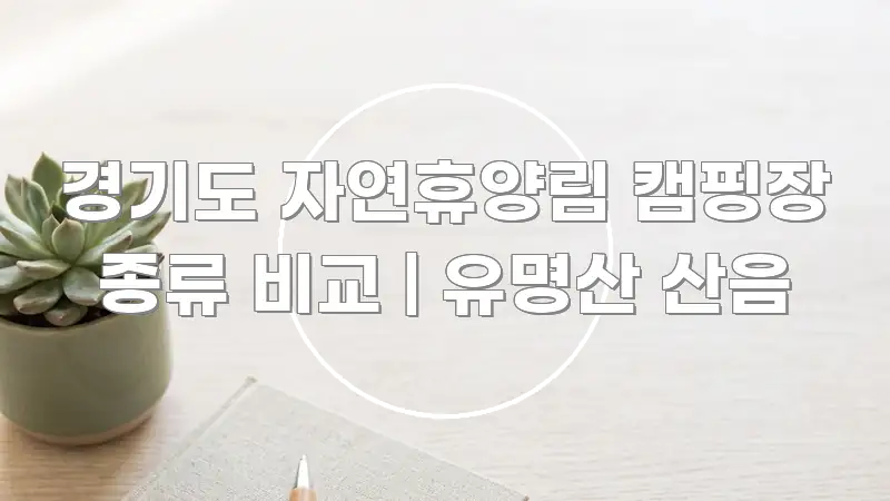 경기도 자연휴양림 캠핑장 종류 비교 | 유명산 산음 흥미롭게 구성한 블로그 섹션 구분 이미지 - 설명을 돕는 이미지