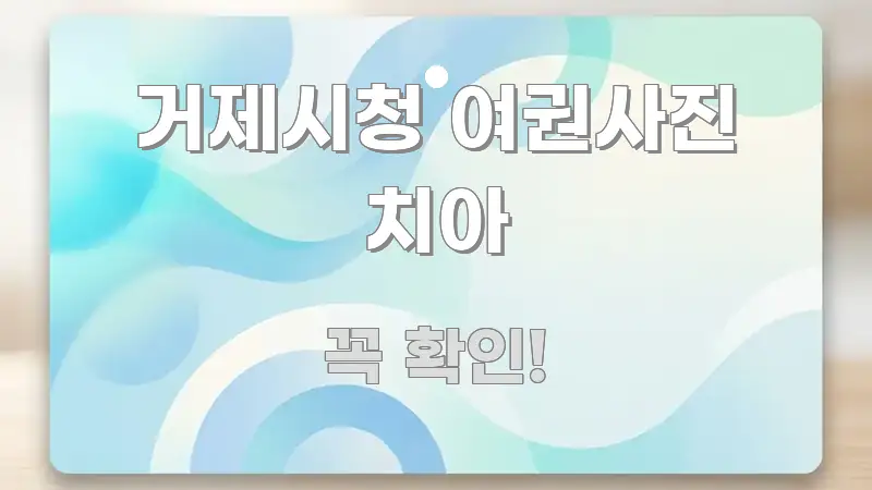 거제시청 여권사진 치아 중요 내용만 뽑은 가독성 높은 정보 이미지 - 내용 요약을 위한 이미지