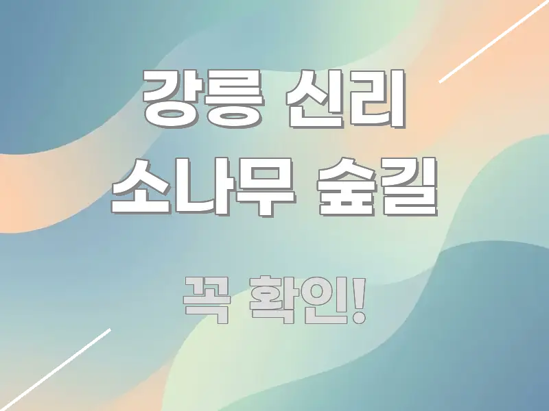 강릉 신리 소나무 숲길 핵심 정보 중심의 블로그 헤더 이미지 - 본문 내용과 연관된 이미지