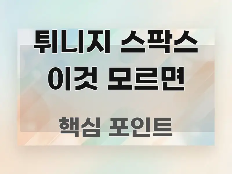 튀니지 스팍스 이것 모르면 꼼꼼하게 정리된 블로그 헤더 이미지