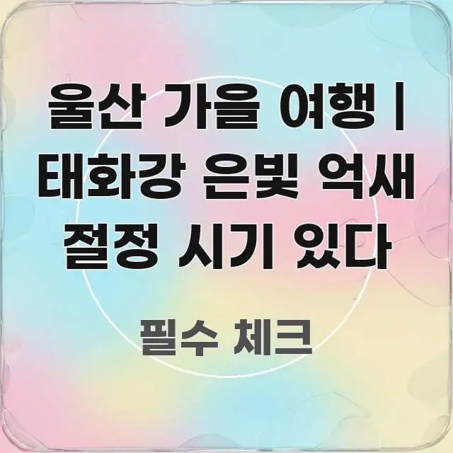 울산 가을 여행 | 태화강 은빛 억새 절정 시기 있다 명확하게 정리된 모던 카드뉴스 디자인 - 글 흐름을 돕는 시각 자료