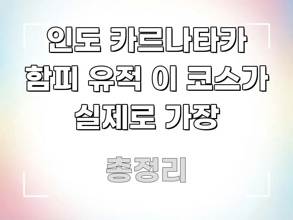인도 카르나타카 함피 유적 이 코스가 실제로 가장 실용적으로 정리한 깔끔한 인포그래픽 표지 - 활용 예시 이미지