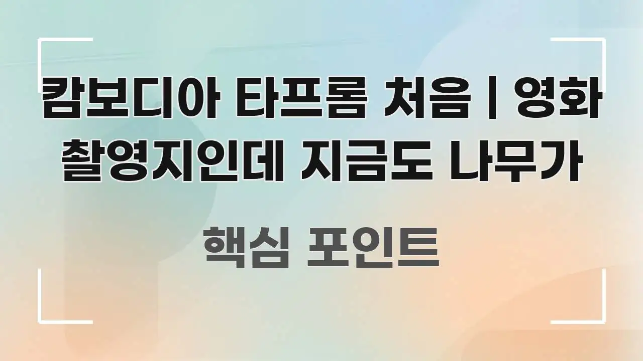 캄보디아 타프롬 처음 | 영화 촬영지인데 지금도 나무가 한눈에 들어오는 모던 카드뉴스 디자인 - 내용 요약을 위한 이미지