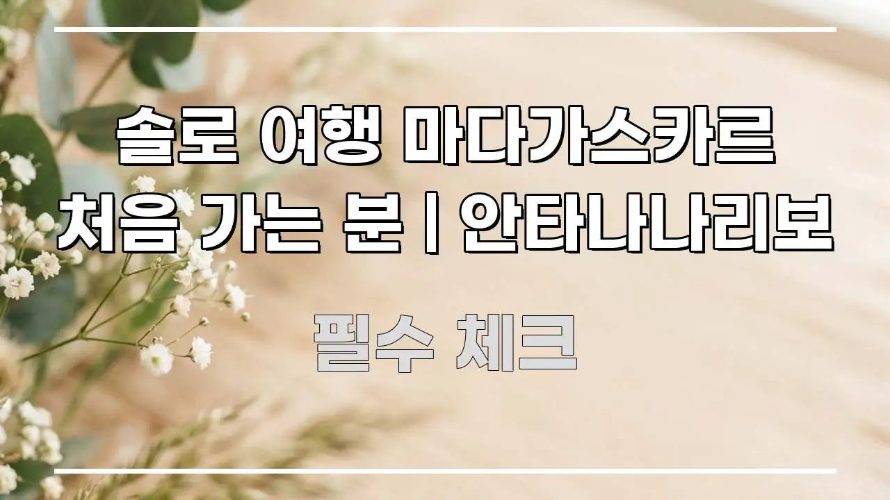 솔로 여행 마다가스카르 처음 가는 분 | 안타나나리보 한눈에 보기 좋게 요약한 핵심 요약 디자인 카드 - 글 흐름을 돕는 시각 자료
