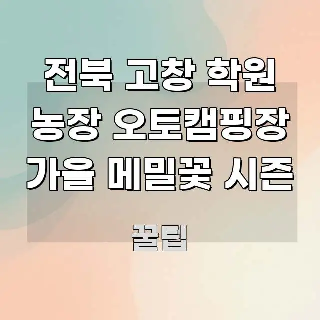 전북 고창 학원 농장 오토캠핑장 가을 메밀꽃 시즌 간결하고 명료한 모던 카드뉴스 디자인 - 가독성을 높이는 이미지