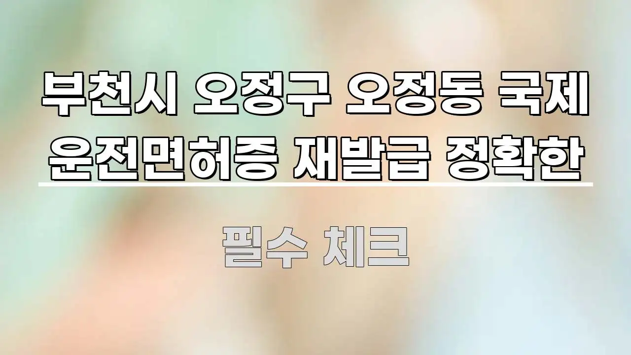 부천시 오정구 오정동 국제 운전면허증 재발급 정확한 한눈에 들어오는 정보 전달형 표지 이미지 - 활용 예시 이미지